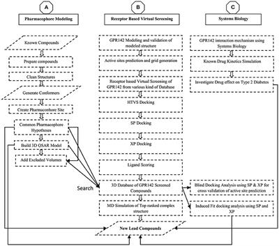 Structure Based Virtual Screening Studies to Identify Novel Potential Compounds for GPR142 and Their Relative Dynamic Analysis for Study of Type 2 Diabetes